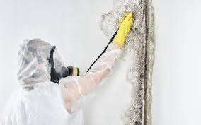 Best HVAC Mold Inspection and Cleaning  in USA